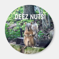 Funny Squirrel Deez Nuts Unangemessenes Spaß Foto
