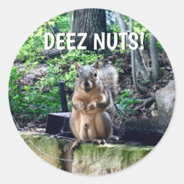 Funny Squirrel Deez Nuts Unangemessenes Spaß Foto Runder Aufkleber