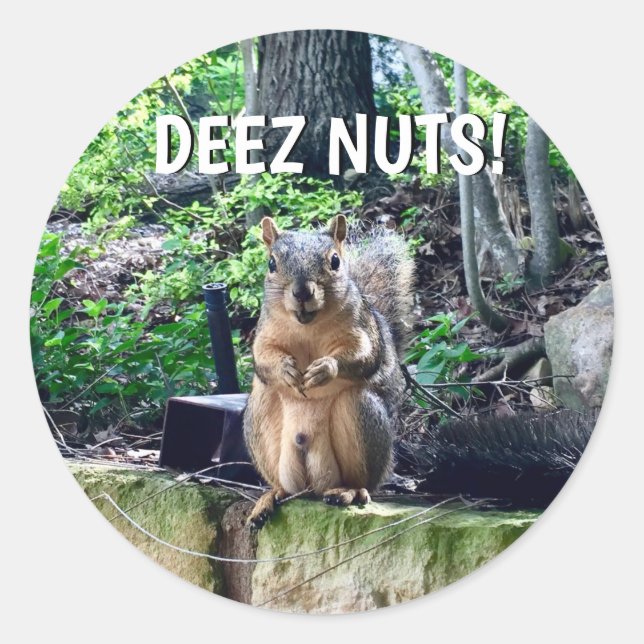 Funny Squirrel Deez Nuts Unangemessenes Spaß Foto Runder Aufkleber (Vorderseite)