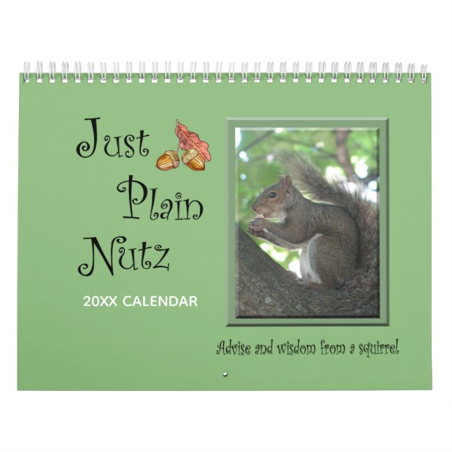 Funny Squirrel Gerade Schlicht Nutz Calendar Kalender (Titelbild)