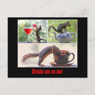 Funny Squirrel Postcard Postkarte