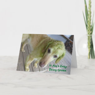 Funny St Patricks Green Golden Retriever Card Karte
