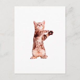 Funny stehend spielend postkarte
