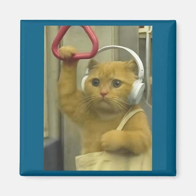 Funny Subway Cat Meme Stud Brainrot Cats Humor Kit Magnet (Vorne)