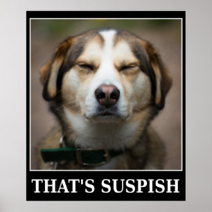 Funny Suspish Dog Meme Poster