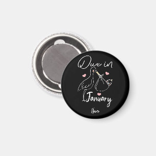 Funny Swan soll im Januar ein Niedliches neues Bab Magnet