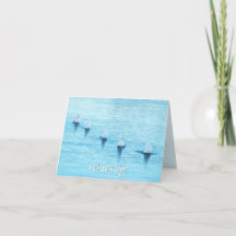 Funny Swans Was oben ist Jeder Anlass Leere