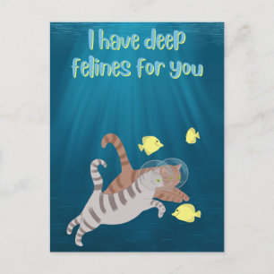 Funny Swimming Cats Ocean Valentinstag Feiertagspostkarte