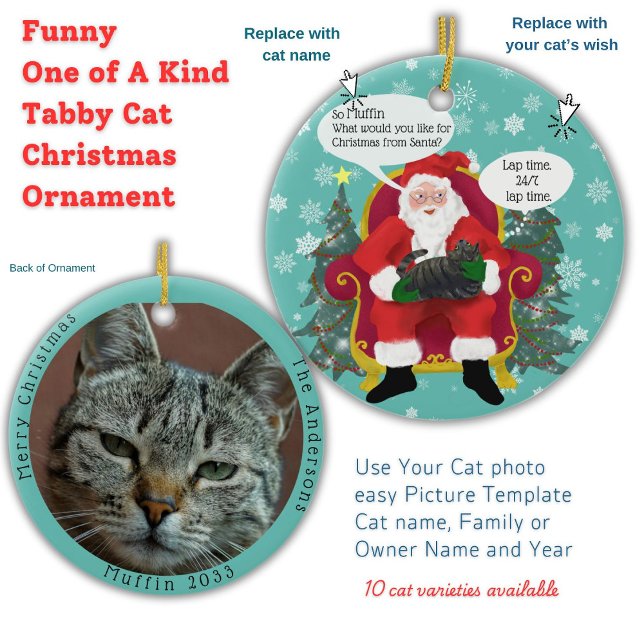 Funny Tabby Cat Besuchen Santa mit Unglaublich wit Keramik Ornament (Your Tabby cat gives Santa Paws Christmas wish list custom double sided photo template Ornament)