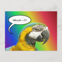 Funny Talk Parrot Rainbow Hallo Postcard
