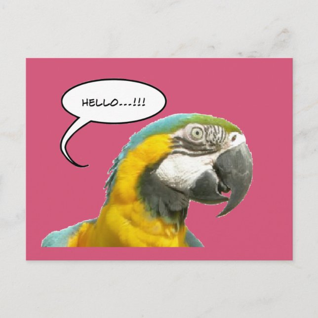 Funny Talking Parrot Hallo Postcard Postkarte (Vorderseite)