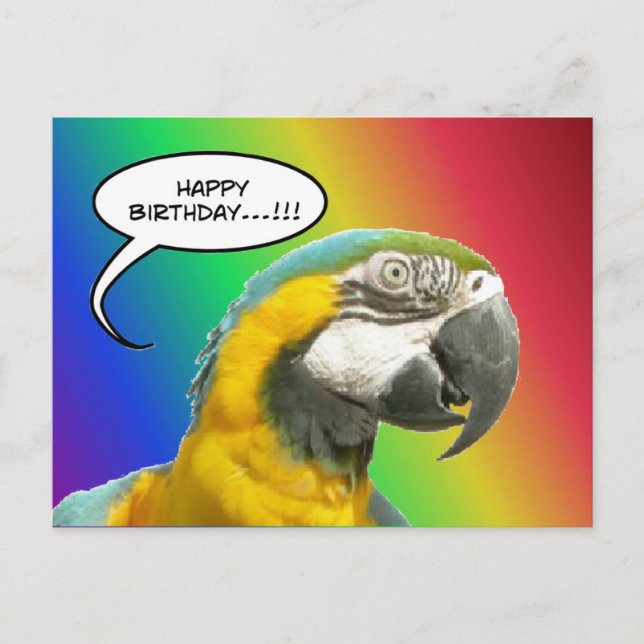 Funny Talking Parrot Rainbow Birthday Postcard Postkarte (Vorderseite)