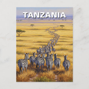 Funny Tansania Serengeti Nationalpark Zebra Postkarte