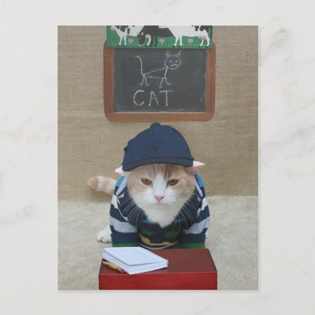 Funny Teacher to Parent Postcard Postkarte (Vorderseite)