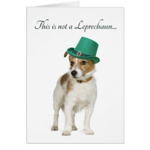Funny Terrier Leprechaun Card