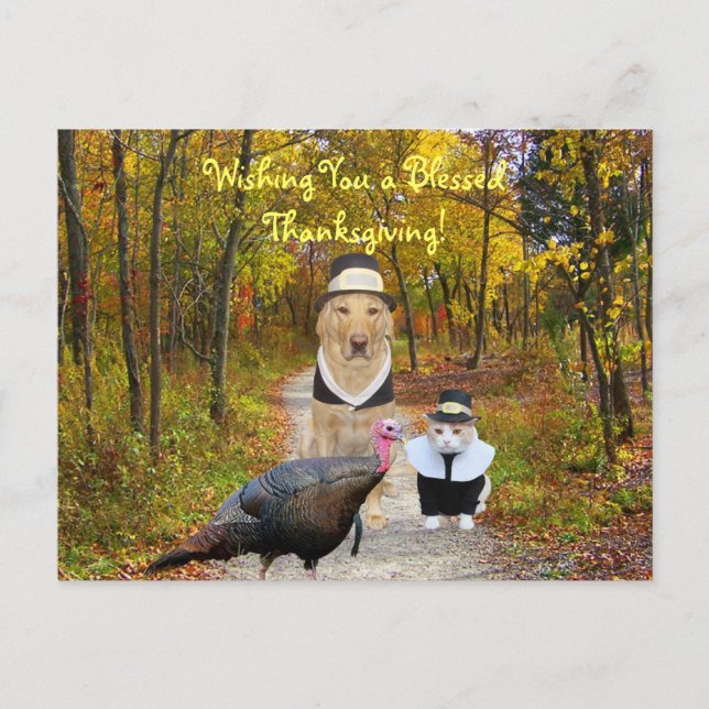 Funny Thanksgiving Postcard Feiertagspostkarte (Vorderseite)