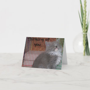 Funny Thinking Your Card Karte