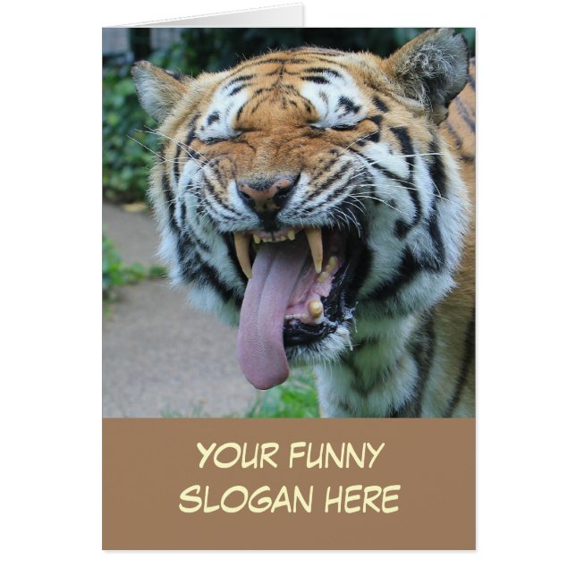 Funny Tiger Foto für sich selbst (Vorne)