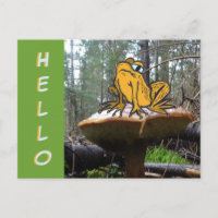 Funny Toad Cartoon auf Toadstool HELLO Postcard