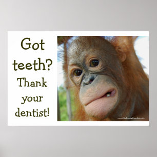 Funny Tooth Dankbarkeit Poster