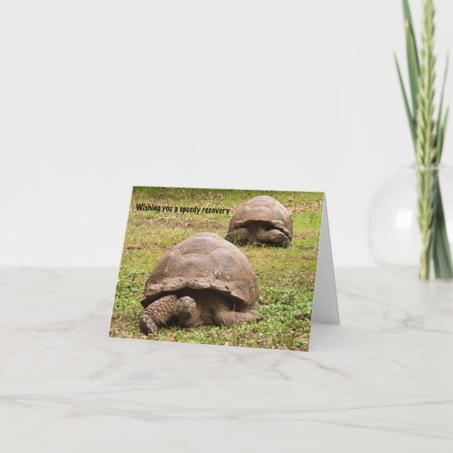 Funny Tortoise Get Well Card Dankeskarte (Vorderseite)