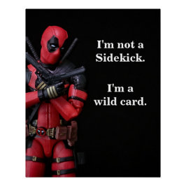 Funny Toy Fotografy Anti-Hero Poster