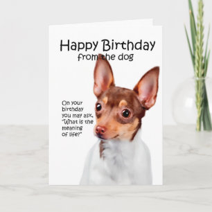 Funny Toy Fox Terrier Birthday Card Karte