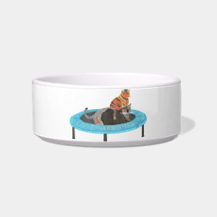 Funny Trampolin Cats Painting, Pet Disc Napf