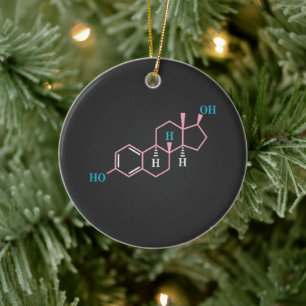 Funny Transgender Trans LGBT Privileg Rechte Estro Keramik Ornament