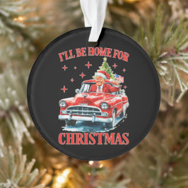 Funny Trump Weihnachtsmannmütze Ich werde zu Weihn Ornament