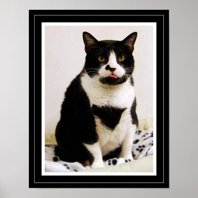 Funny Tuxedo Cat Poster (Vorne)