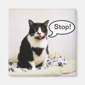 Funny Tuxedo Cat "Stopp!" Magnet
