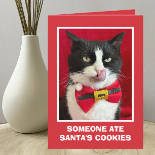 Funny Tuxedo Cat Weihnachtskarte Karte