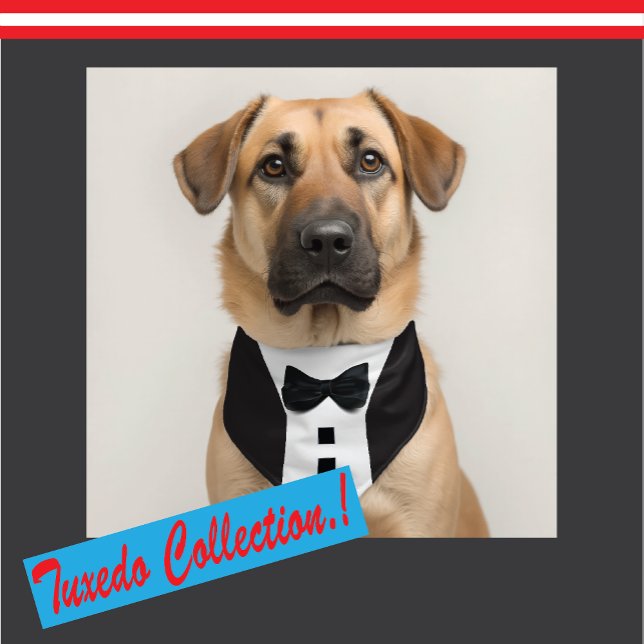 Funny Tuxedo 🎩 Schwarze Krawatte Formal Gepäckanhänger (Von Creator hochgeladen)