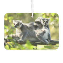 Funny überraschend Lemurs von Madagaskar Autolufterfrischer