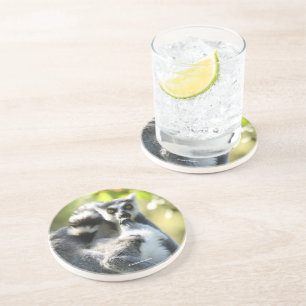 Funny überraschend Lemurs von Madagaskar Getränkeuntersetzer