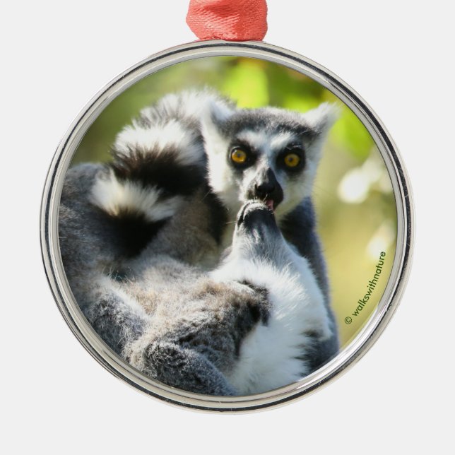 Funny überraschend Lemurs von Madagaskar Ornament Aus Metall (Vorne)