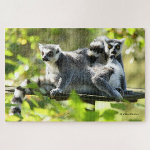 Funny überraschend Lemurs von Madagaskar Puzzle