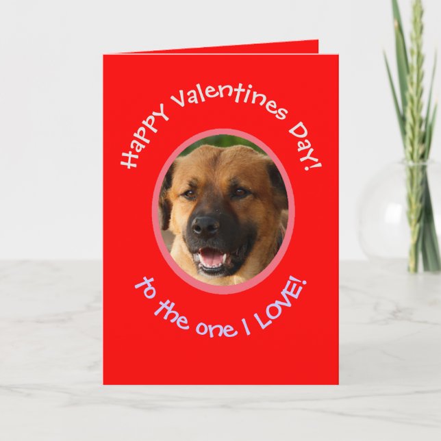 Funny Valentine vom Hund bis zum Besitzer Fotokart Karte (Vorderseite)