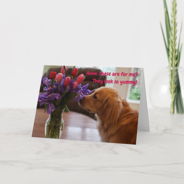 Funny Valentine's card, Hund isst Blume Karte (Vorderseite)
