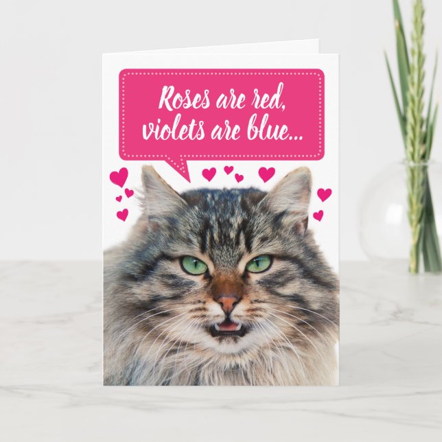 Funny Valentine's Day Maine Coon Cat individuell a Karte (Vorderseite)