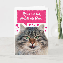 Funny Valentine's Day Maine Coon Cat individuell a Karte