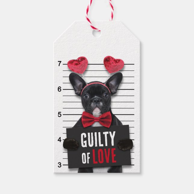 Funny Valentine's Day Mugshot Guilty Liebe Hund Geschenkanhänger (Vorderseite)