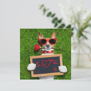 Funny Valentinstag Card - Jack Russel Card Feiertagskarte
