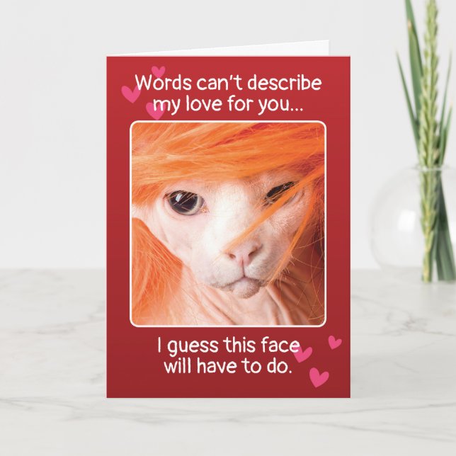 Funny Valentinstag Sexy Cat Feiertagskarte (Vorderseite)