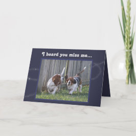 Funny "Vermisst You" Card mit Niedlichen Basset Ho Karte