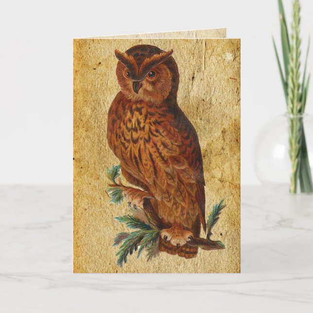 Funny Vintag Owl Birthday Card Karte (Vorderseite)