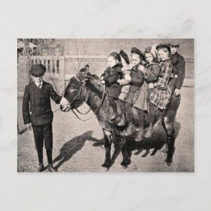 Funny Vintag Portrait Children Donkey Balancing Postkarte