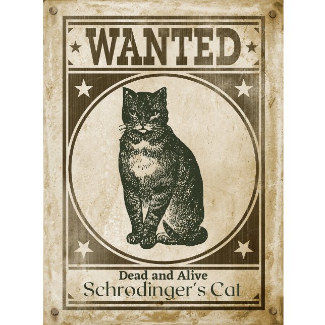 Funny Vintag Schrodingers Katze Wollte Poster T-Shirt (Von Creator hochgeladen)