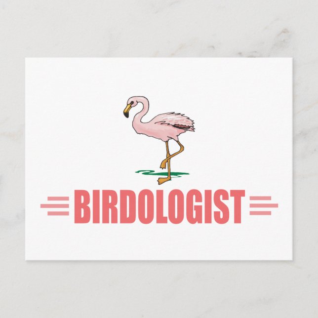 Funny Vogelbeobachtung Flamingo Postkarte (Vorderseite)